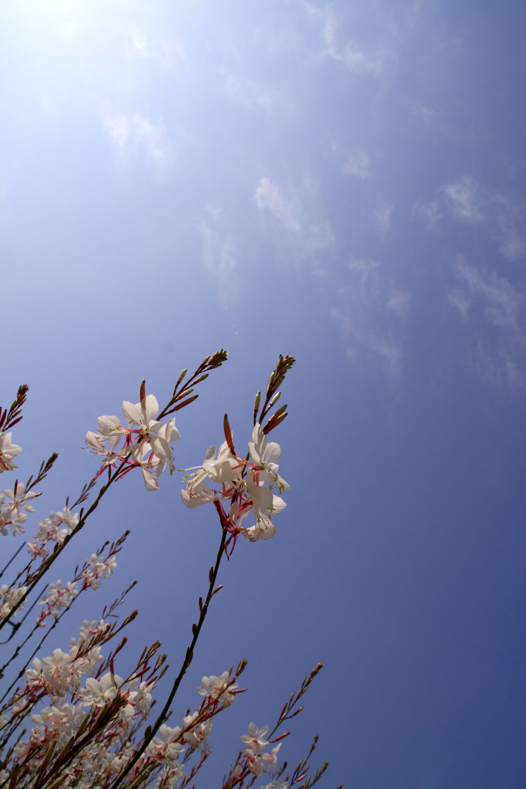 1つずつ積み重ねよう【大町教室】