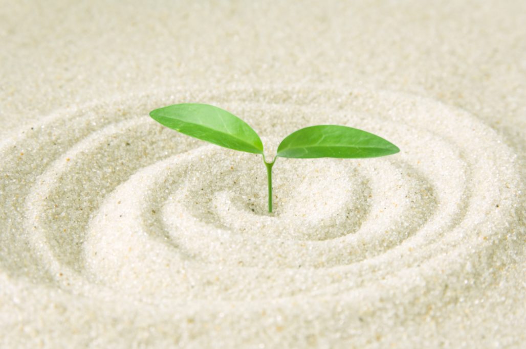 ウソのような本当の話【稲田教室】