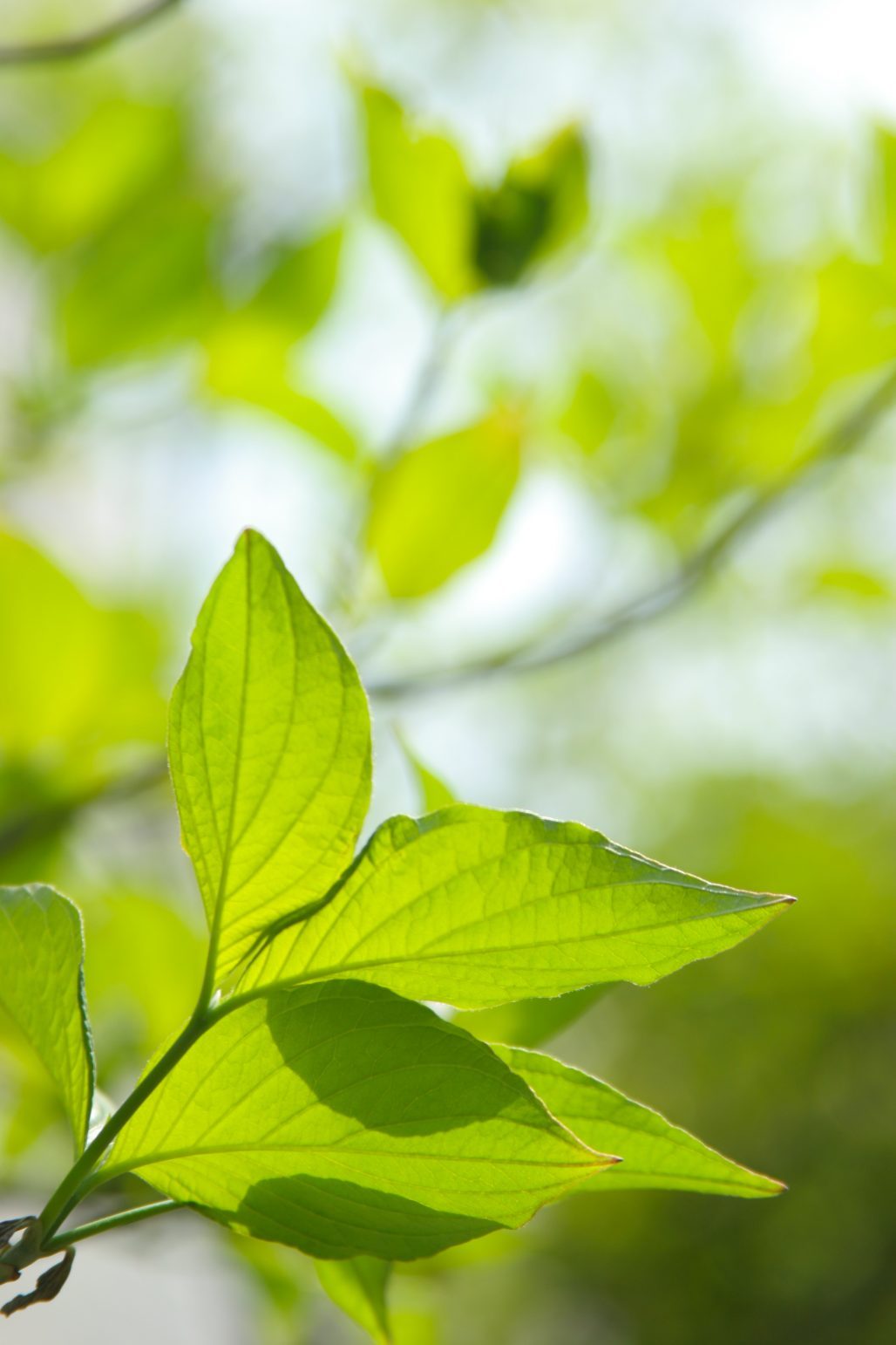 春の鳥と冬の鳥のはなし【女池教室】