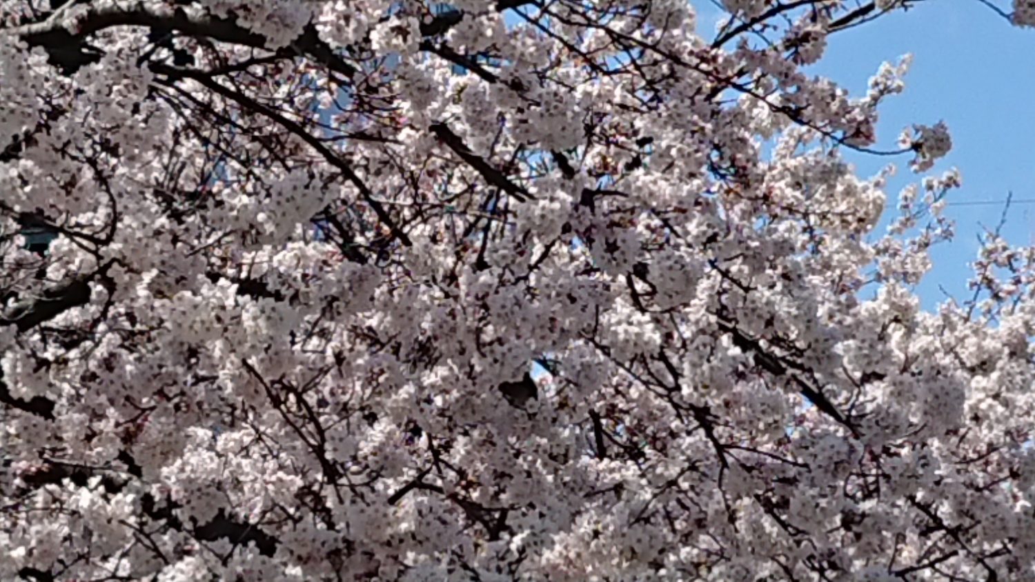 改元まであと2週間(くらい)！【伊那東教室】