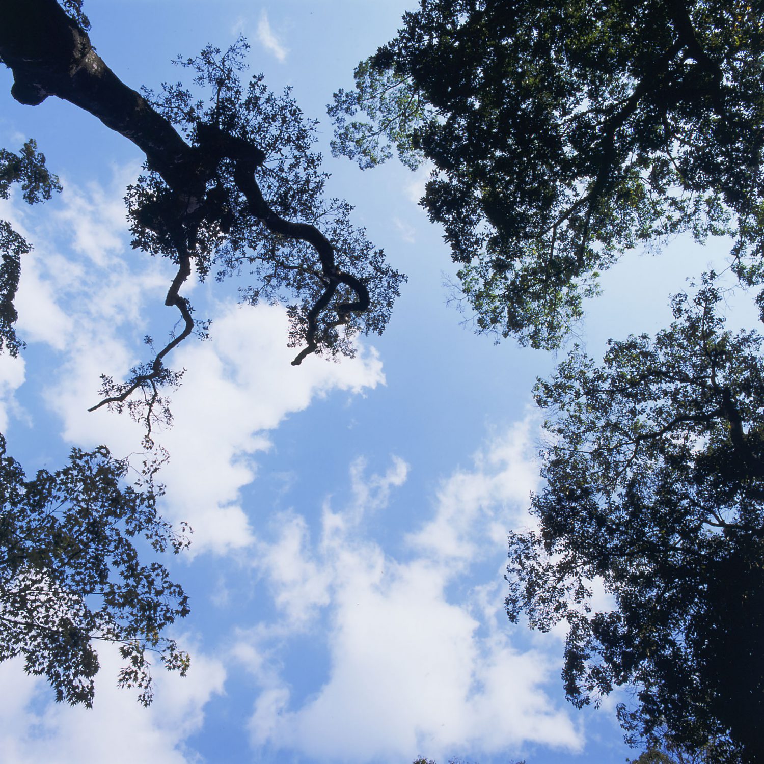 テスト勉強会を実施しました！【村井教室】