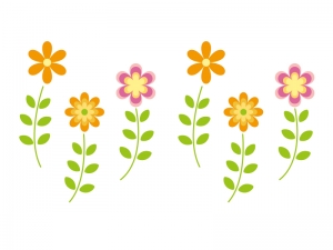 庭の隅に咲いていた花【稲田教室】