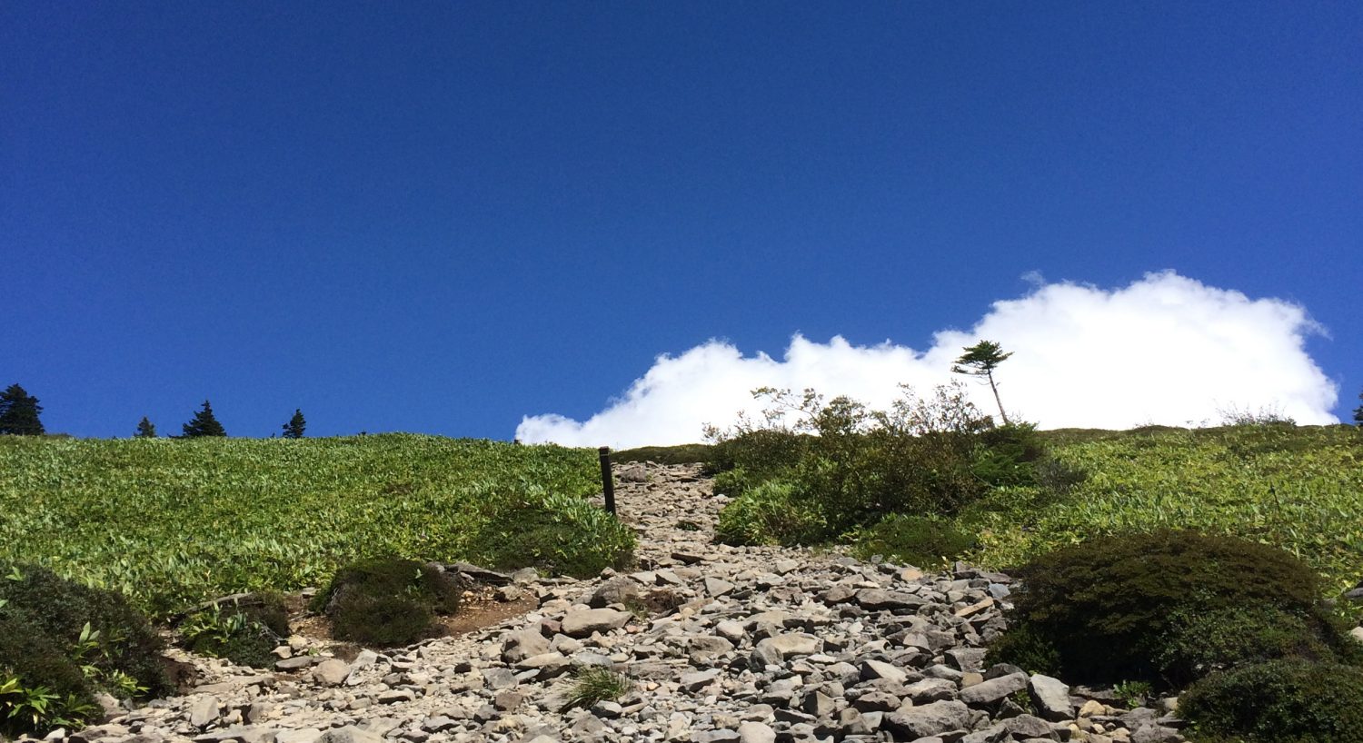 登山と勉強の関係【上田インター教室】