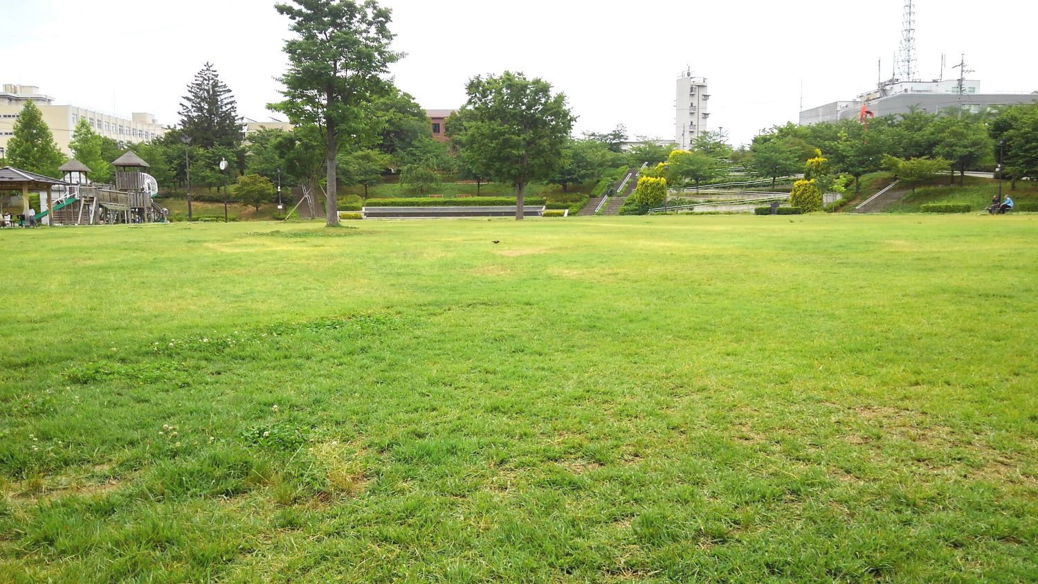 校門前朝配布と城山公園【稲田教室】