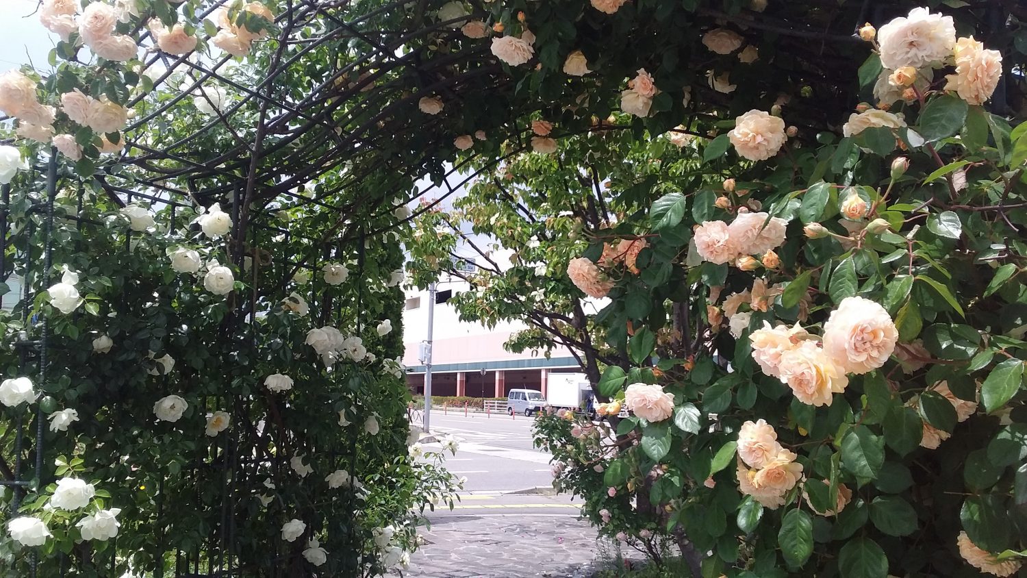 雨でも元気にいこう！【大町教室】