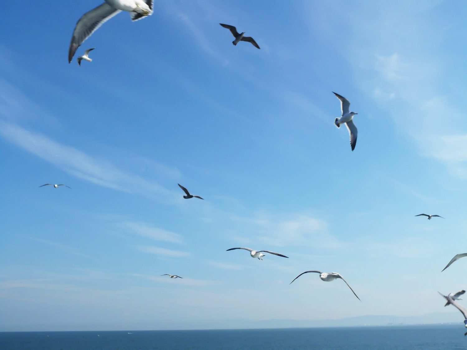 テスト勉強会を実施しました【飯田アップルロード教室】