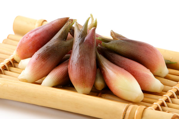 夏期講習での生徒さんの意外な一面【まつがく木戸教室】