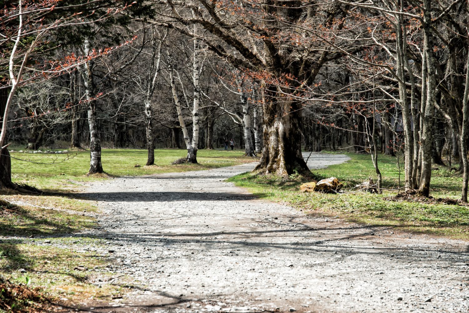 今年最後のテスト勉強会!【まつがく大町教室】