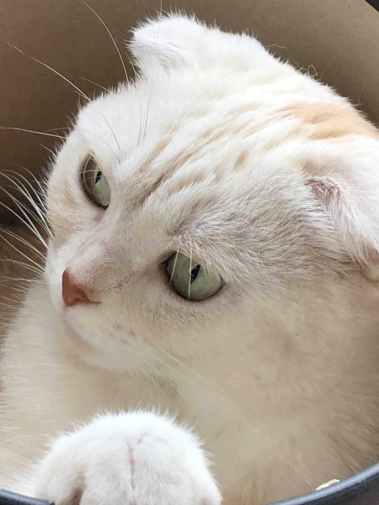 塾の先生とモカちゃん【まつがく東新潟教室】