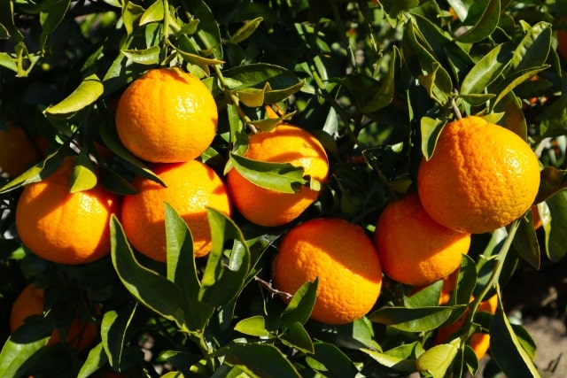 こんなところにも成長の証が【まつがく木戸教室】